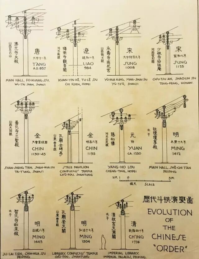 Evolution of Chinese order